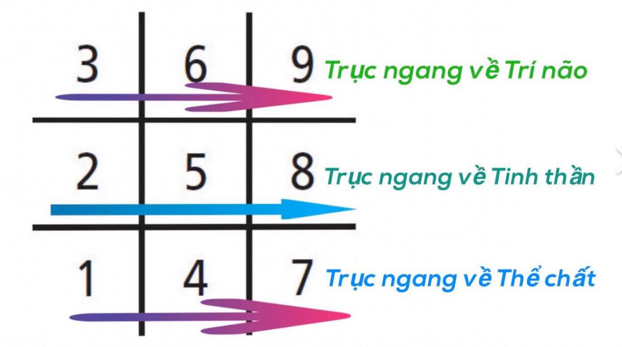 Các trục trong biểu đồ ngày sinh theo Thần số học