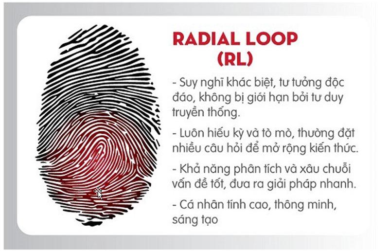 Chủng vân tay Radial Loop