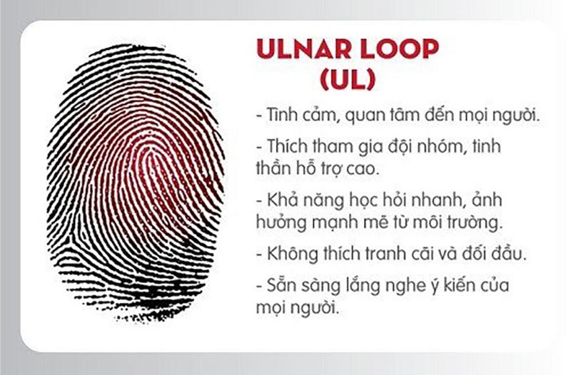 Chủng vân tay Ulnar Loop