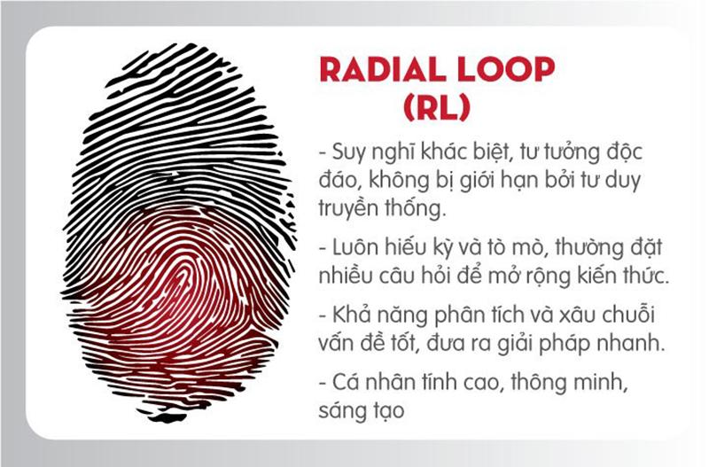 Đặc điểm chủng vân tay Radial Loop